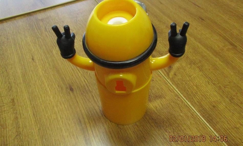 2018-1-11-1332Minions 4.jpg